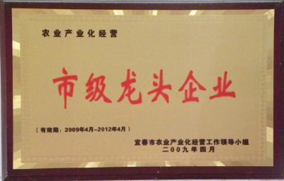 市级龙头企业